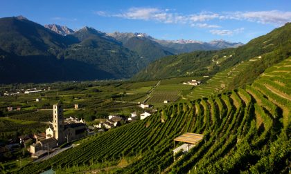Agricoltura: 5,1 milioni al Gal Valtellina per la valorizzazione delle aree rurali