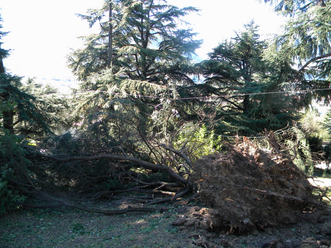 Allerta per vento forte domani in provincia