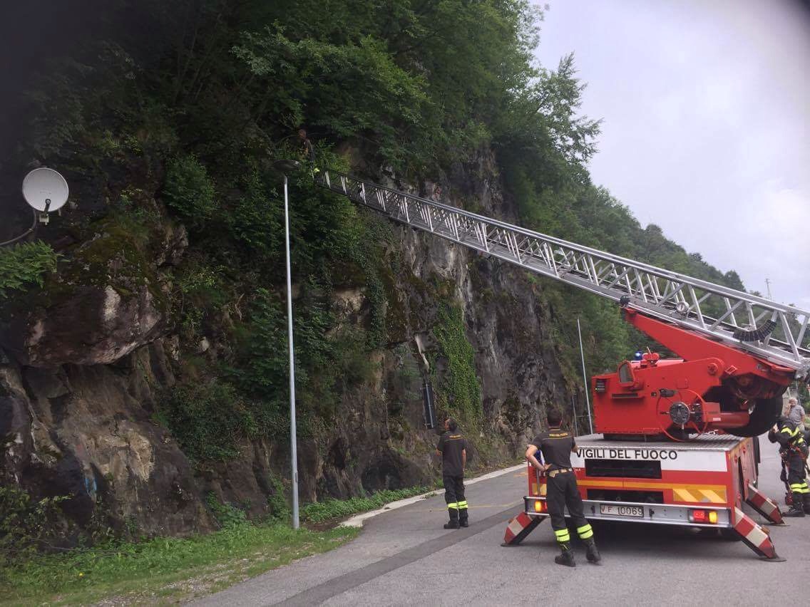 Capretto salvato dai pompieri a Verceia