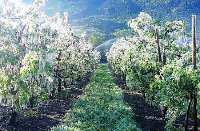 Melavì, promesse mancate: 13 famiglie lasciate nel limbo