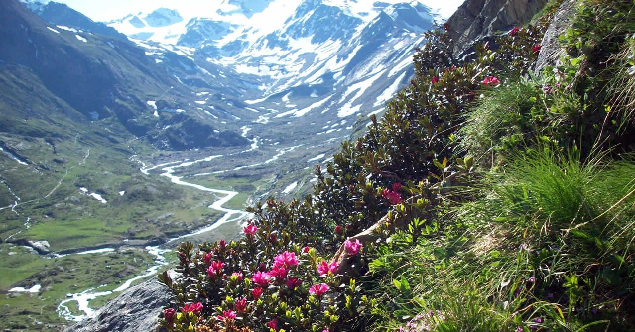 Parco Stelvio, nuove strategie di sviluppo