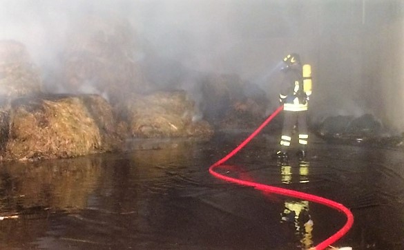 Incendio a Cosio Valtellino, animali e persone coinvolti nel rogo VIDEO