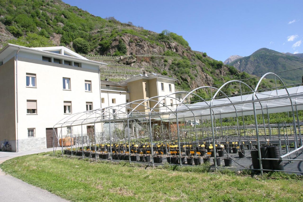 Evento conclusivo del Progetto “Strategie integrate e reti per la conservazione e la valorizzazione del paesaggio terrazzato transfrontaliero”