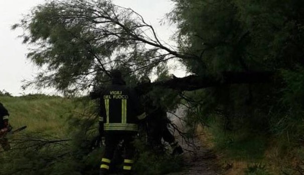Maltempo, cinquanta interventi dei Vigili del fuoco