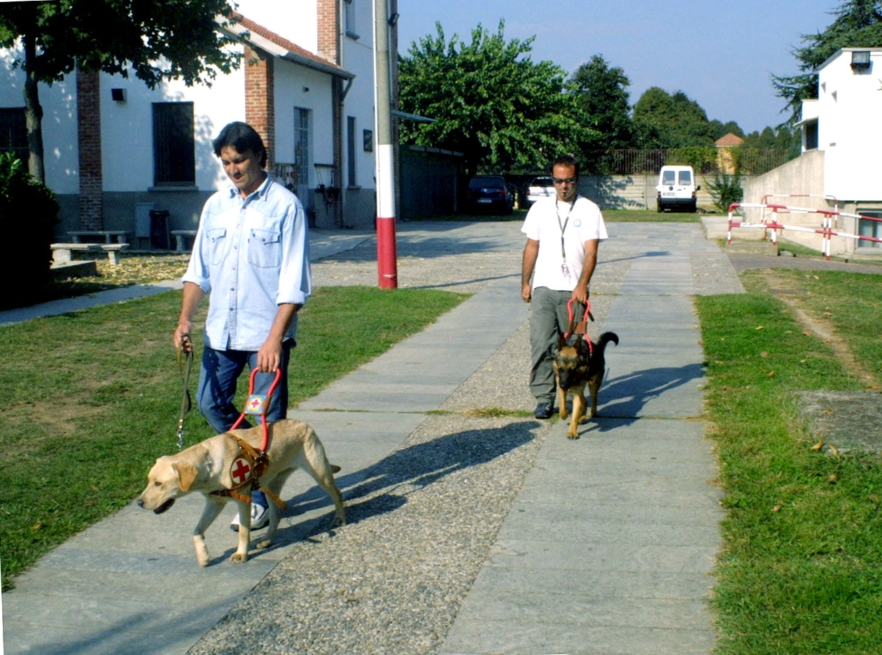 Puppy Walker, due occhi per chi è impossibilitato a  vedere