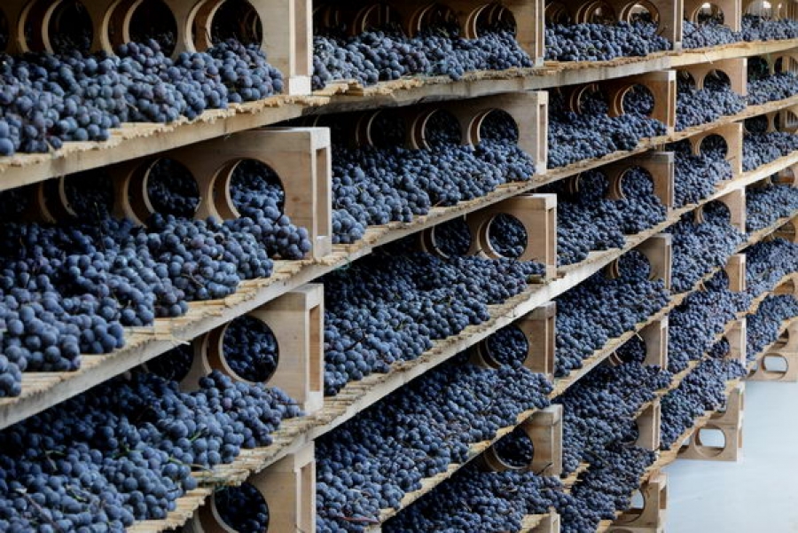 Tirano, in arrivo Eroico Rosso Sforzato Wine Festival