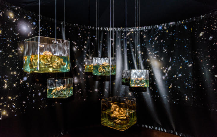 Our Place In Space: la mostra prolungata fino al 22 ottobre