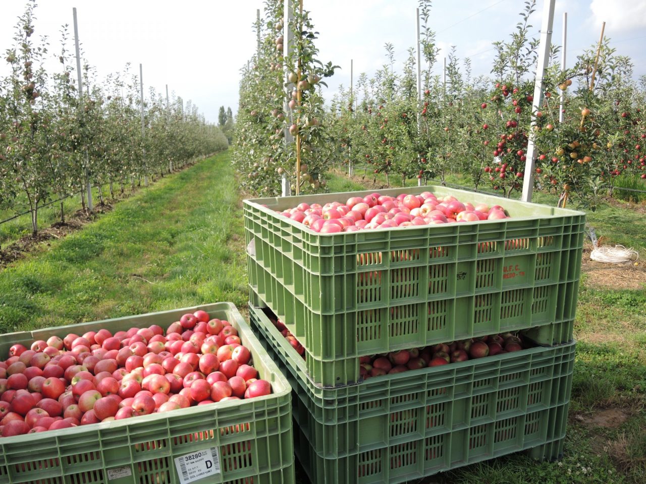 Crisi Melavì: Sertori e Beduschi incontrano i produttori