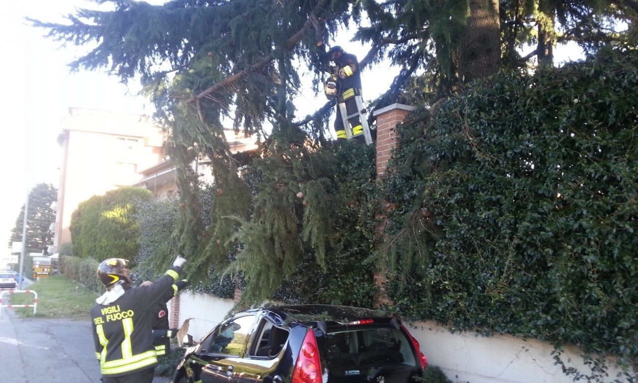 Vento forte, scatta lo stato di allerta