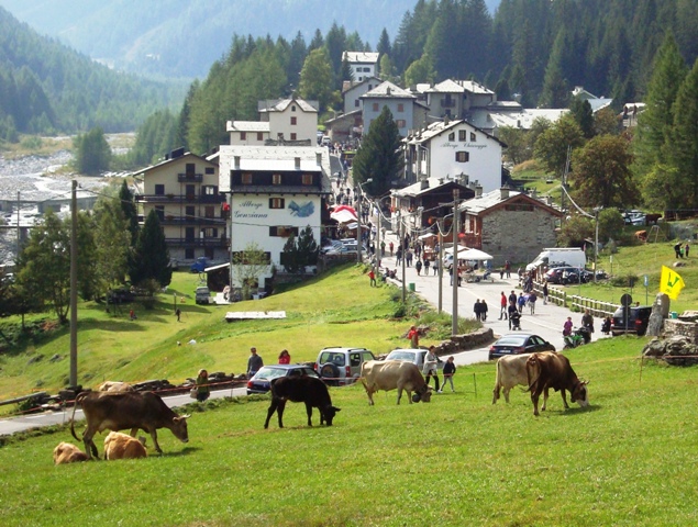 Torna la Festa dell’Alpeggio – Il PROGRAMMA