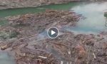 Lago di Mezzola pieno di detriti, "un vero disastro" - Il VIDEO