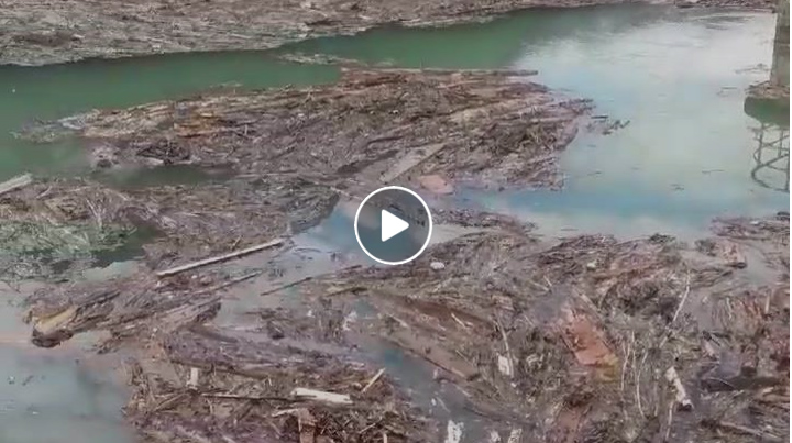 Lago di Mezzola pieno di detriti, “un vero disastro” – Il VIDEO
