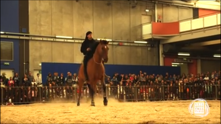 Amazzone di 24 anni cade da cavallo e finisce in ospedale