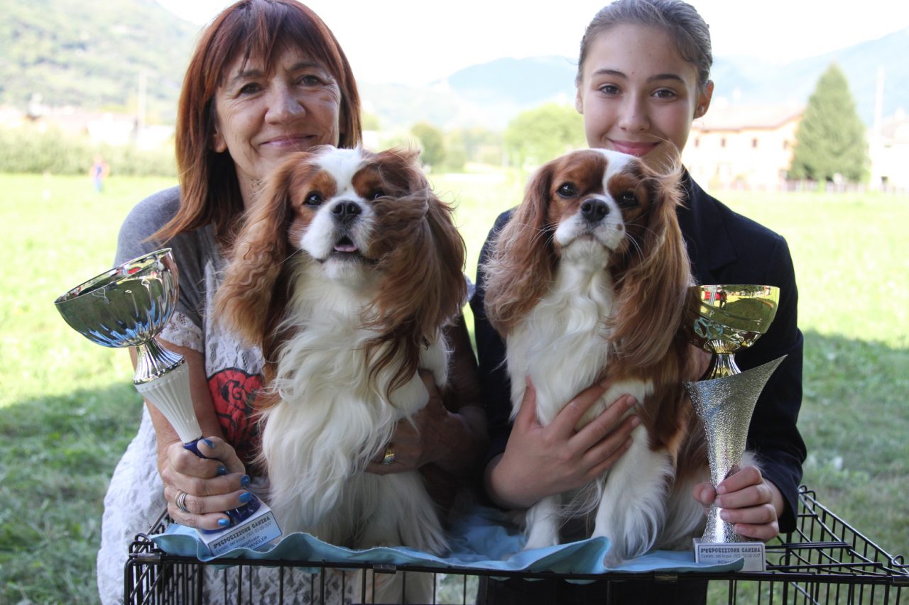 Il cane più bello d’Italia vive a Lanzada