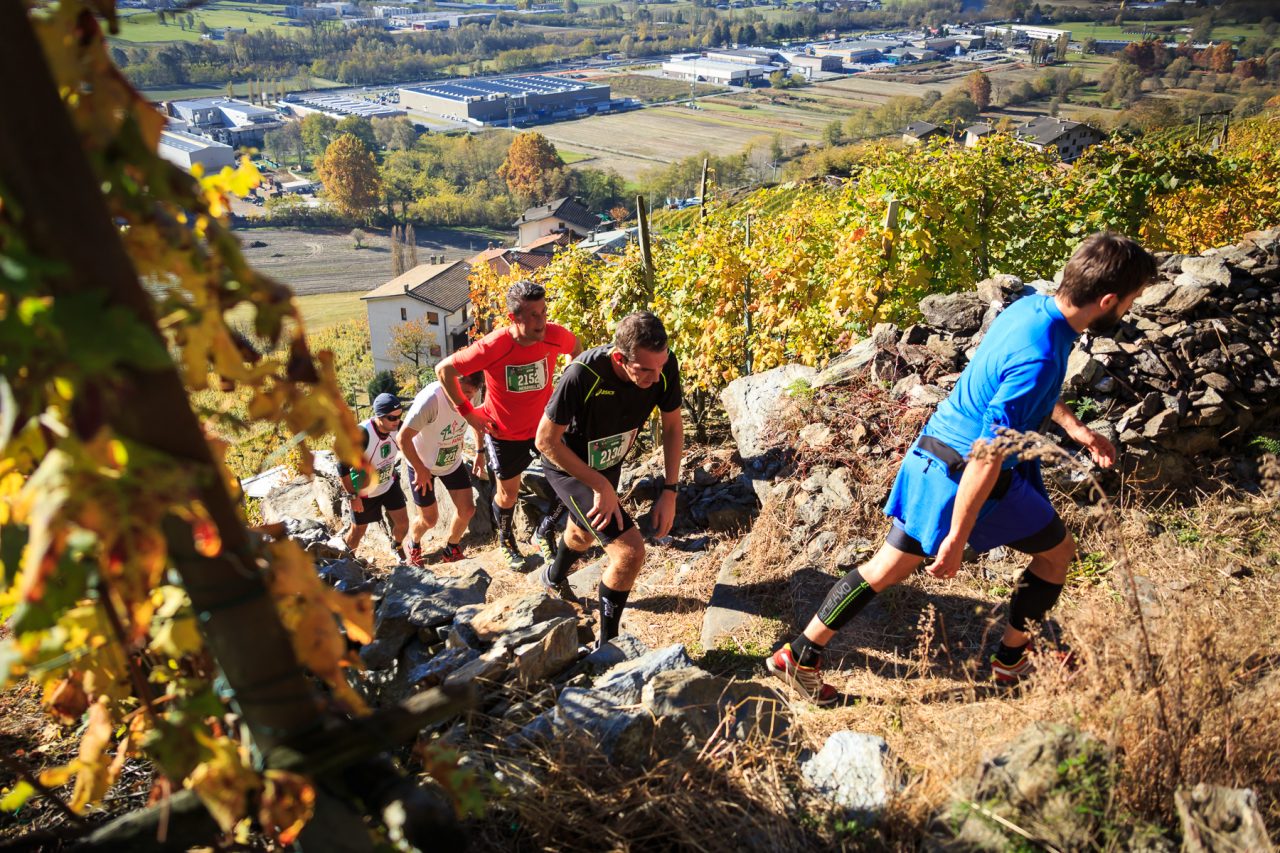Conto alla rovescia per il Valtellina Wine Trail – LE FOTO
