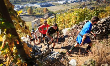 Conto alla rovescia per il Valtellina Wine Trail - LE FOTO