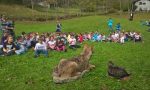 Rivoluzione in vista per il Centro Visitatori del Parco