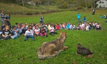 Rivoluzione in vista per il Centro Visitatori del Parco