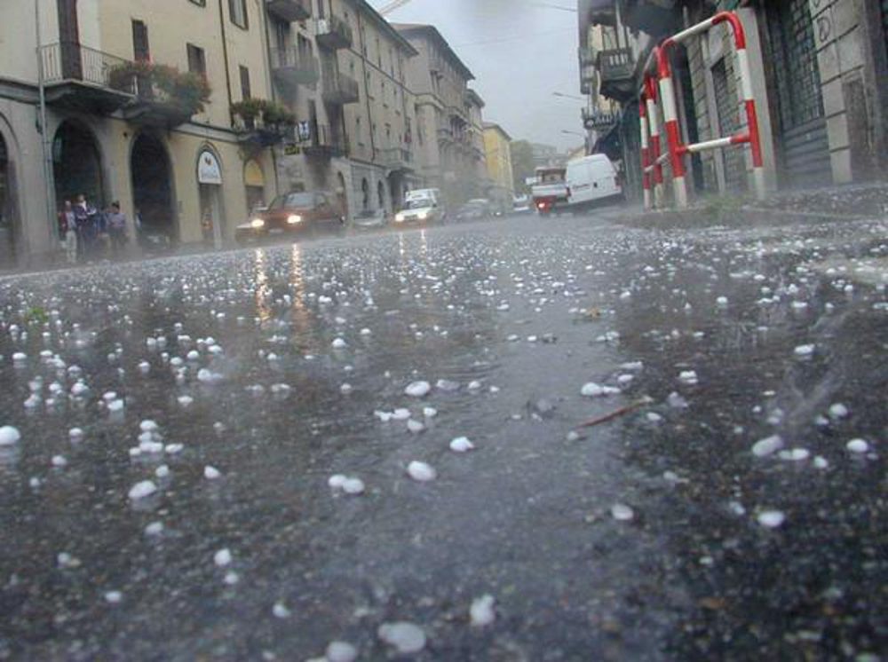 Maltempo un maiale folgorato a Peglio