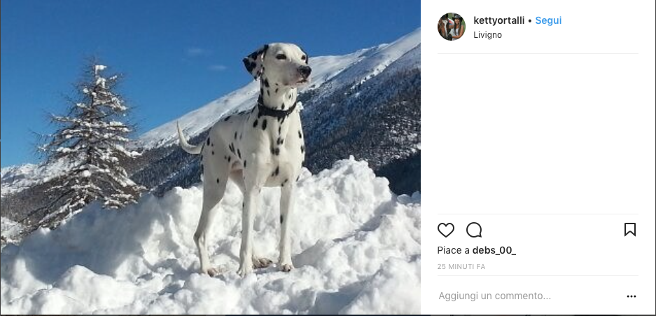 Impianti aperti nel week end le FOTO dai social