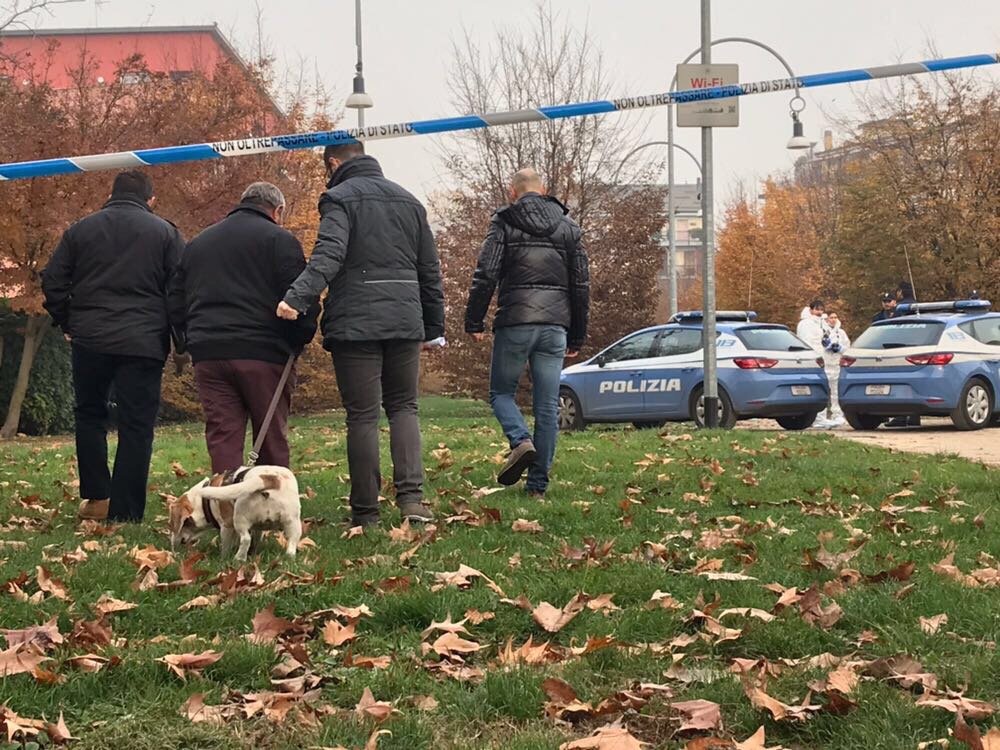 Valtellinese sgozzata mentre porta a passeggio il cane
