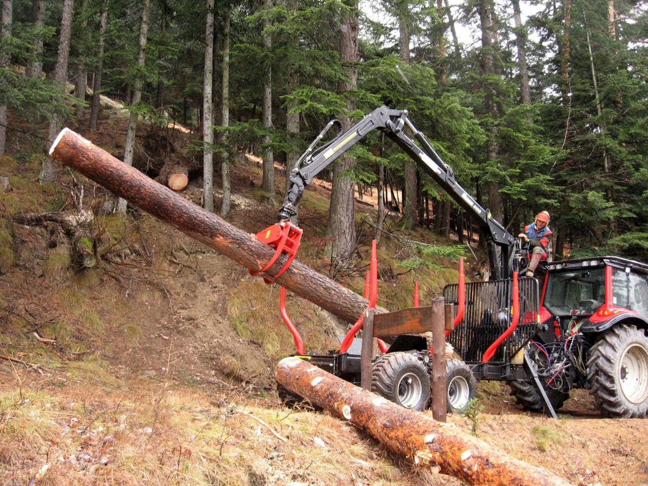 Filiera bosco legno Arrivano due bandi da 8,5 milioni