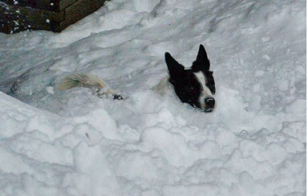 Meteo neve in arrivo, ecco dove