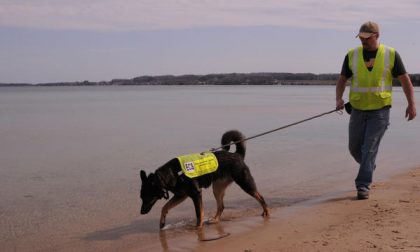 L'olfatto dei cani da salvataggio può fiutare l’inquinamento delle acque