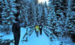 Neve e natura al chiaro di luna: Valdidentro propone ciaspolate in notturna