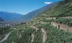 “Valorizzazione dei beni culturali, paesaggistici e ambientali della montagna”: quattro borse di studio per il corso di perfezionamento