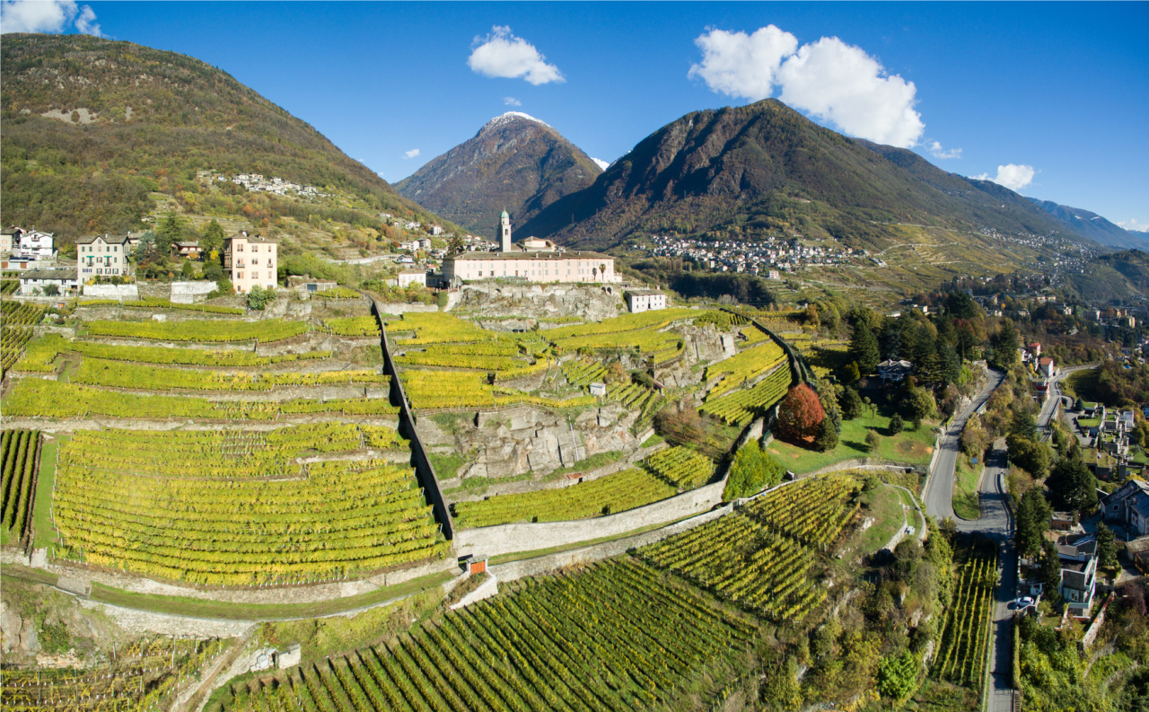Provincia di Sondrio da record per le imprese agricole under 35
