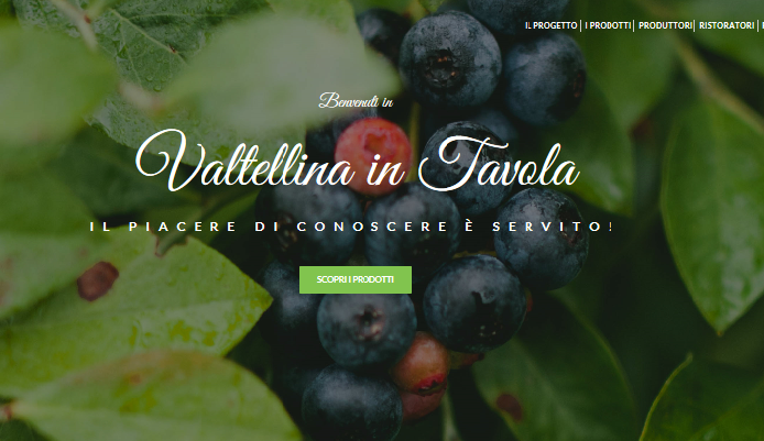 Progetto Vita Pronto il nuovo portale