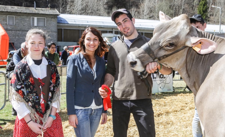 In Valmalenco torna la Mostra Zootecnica Mandamentale