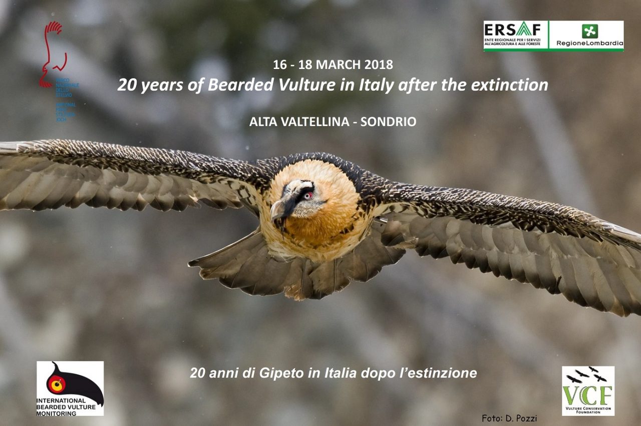 Parco Stelvio, convegno sul Gipeto