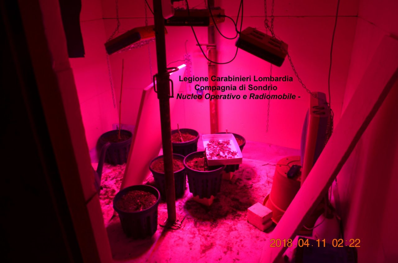 Coltivava marijuana in garage, sondriese in manette FOTO