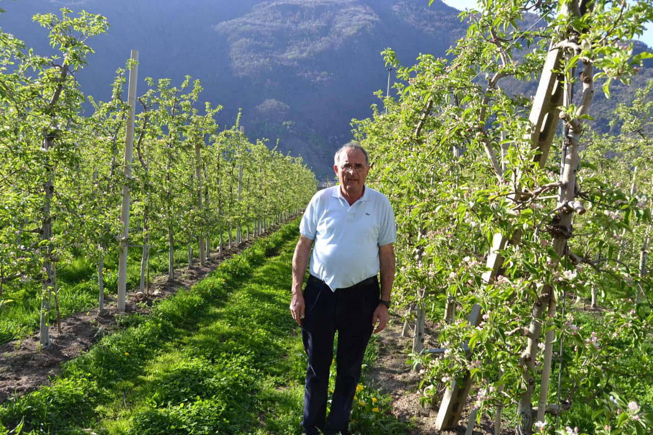 Tangenziale di Tirano, la soluzione di Paganini