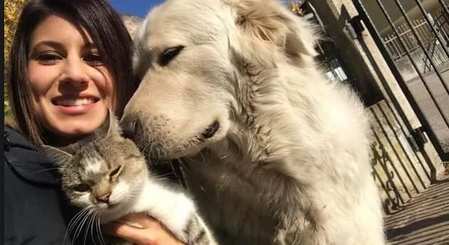Il cane abbaia troppo e viene sequestrato | parte la campagna per liberarlo