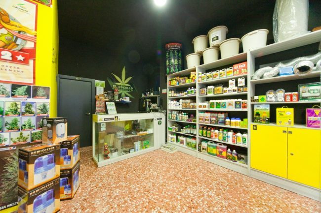 Cannabis al supermercato la scelta di Lidl
