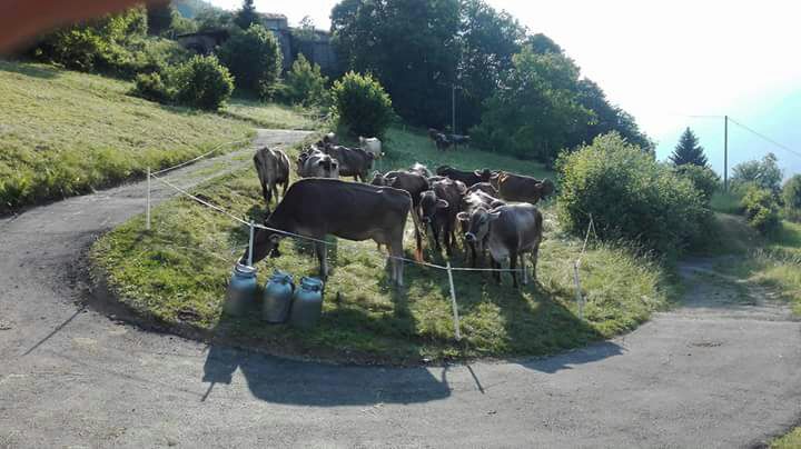 Campanacci  rumorosi, rischia la denuncia