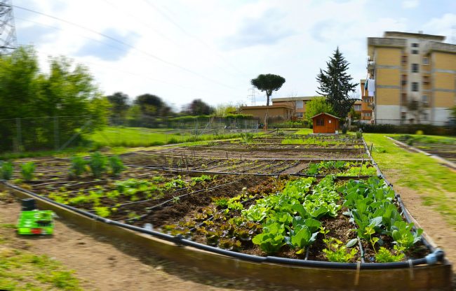 Orti urbani: Sondrio ottava in Lombardia