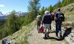 Escursioni per tutti con i Bioblitz nel Parco delle Orobie e al Pian di Spagna