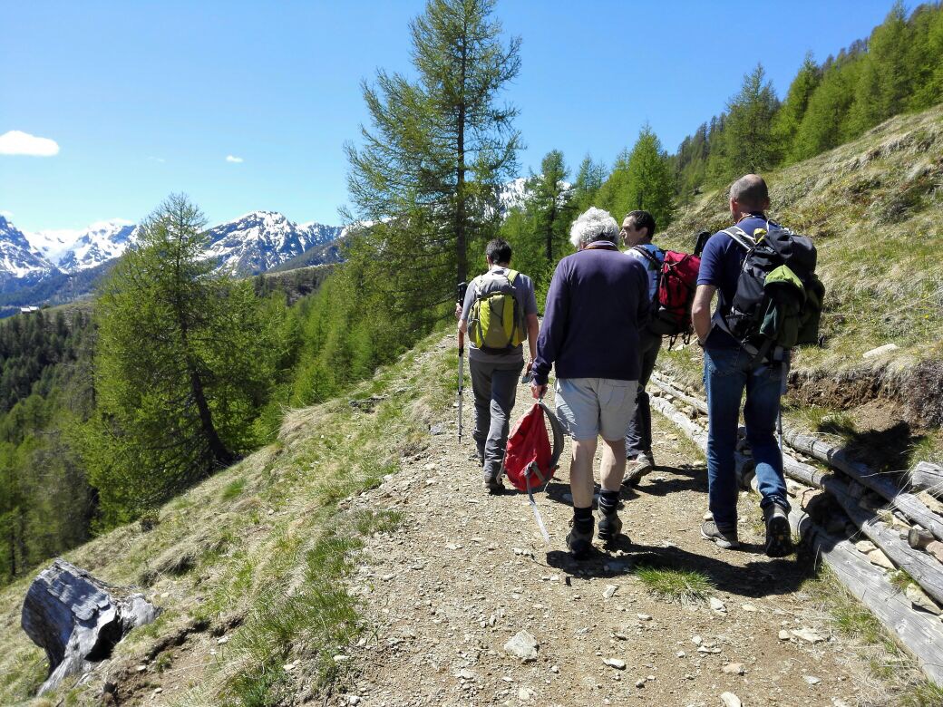Bioblitz sulle montagne Orobie