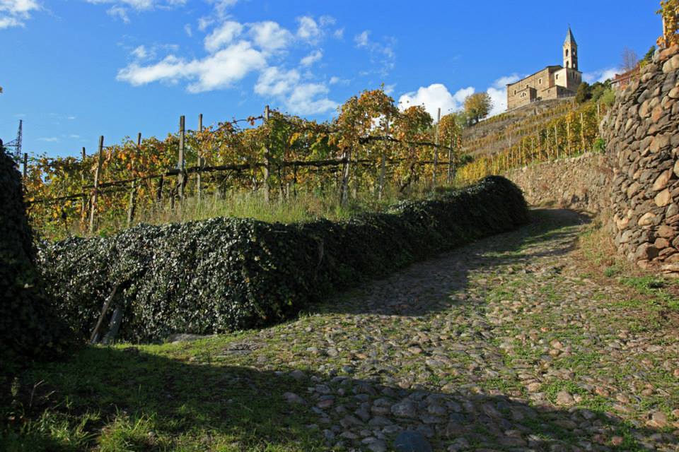 Domenica ricca di eventi nel sondriese