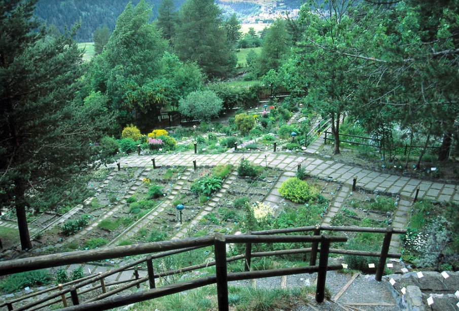L’Orto Botanico di Bormio festeggia il Solstizio d’estate