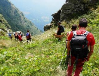 Un’escursione a caccia di flora aliena