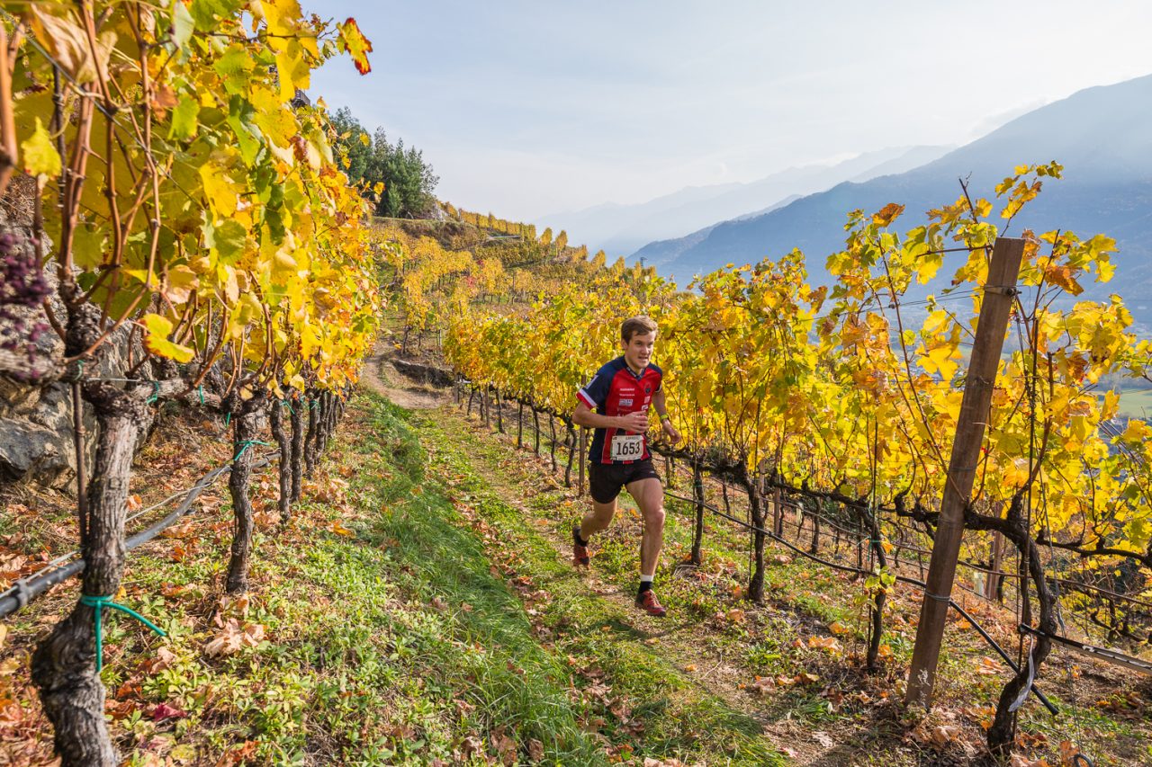 Grandi novità per il Valtellina Wine Trail