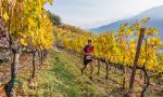 Grandi novità per il Valtellina Wine Trail