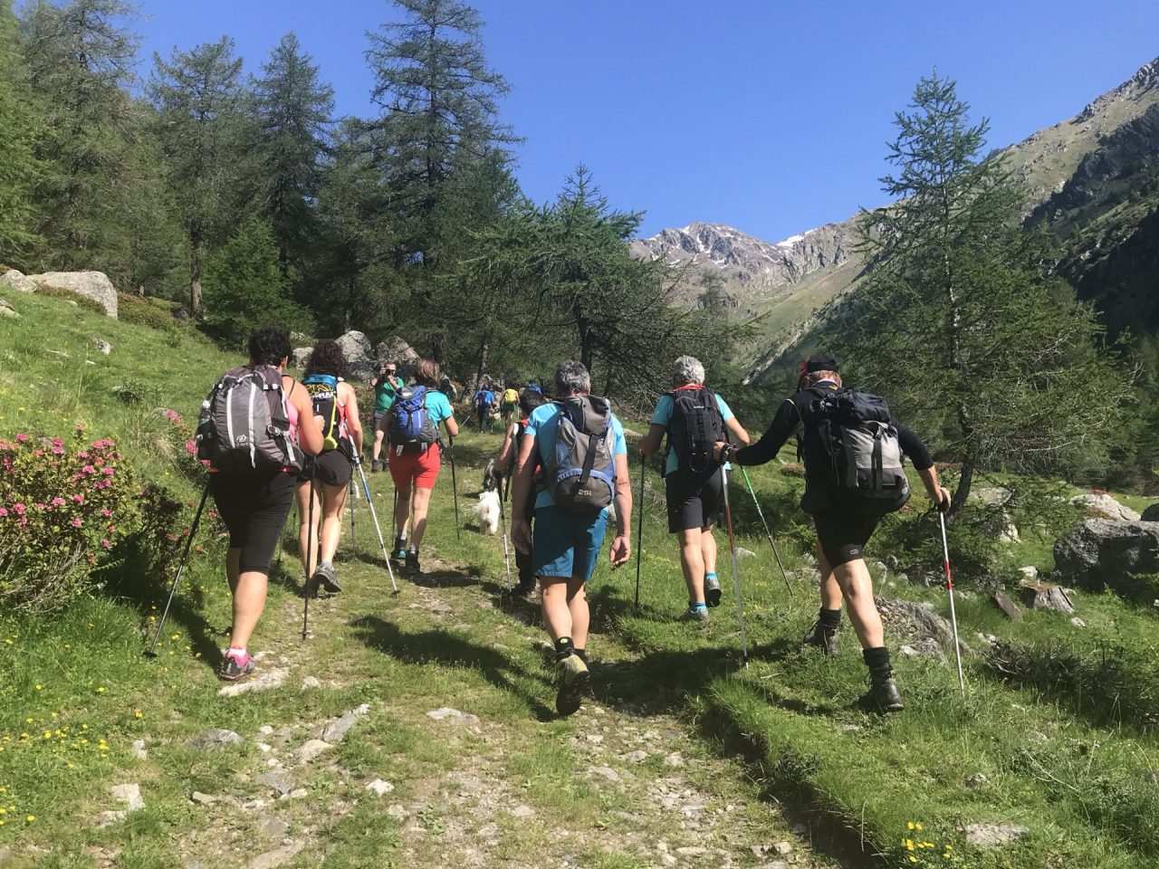 Il Cai Valfurva in Val Canè