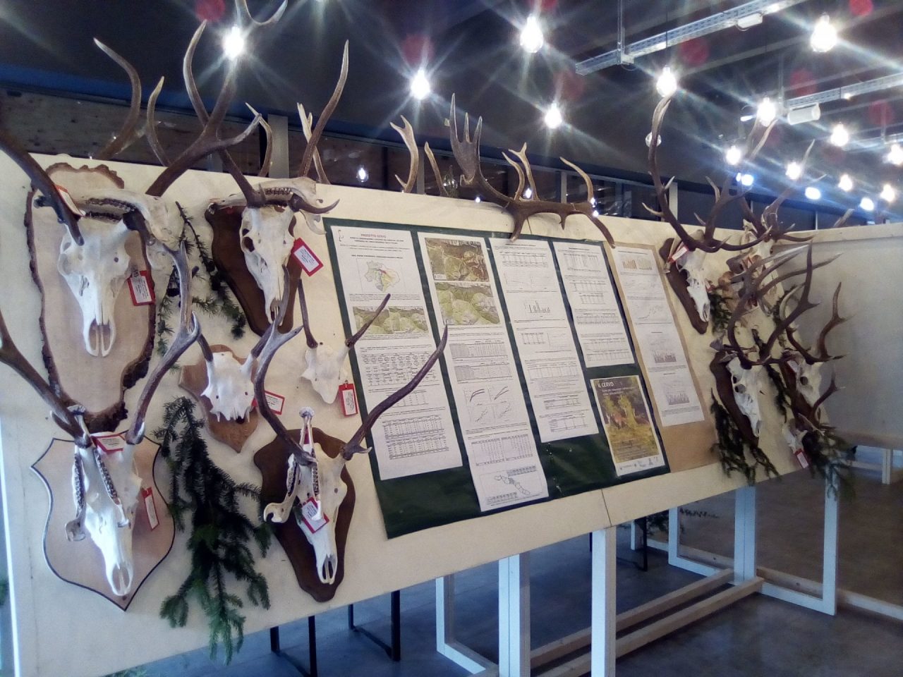 Bormio, successo per la mostra dei trofei