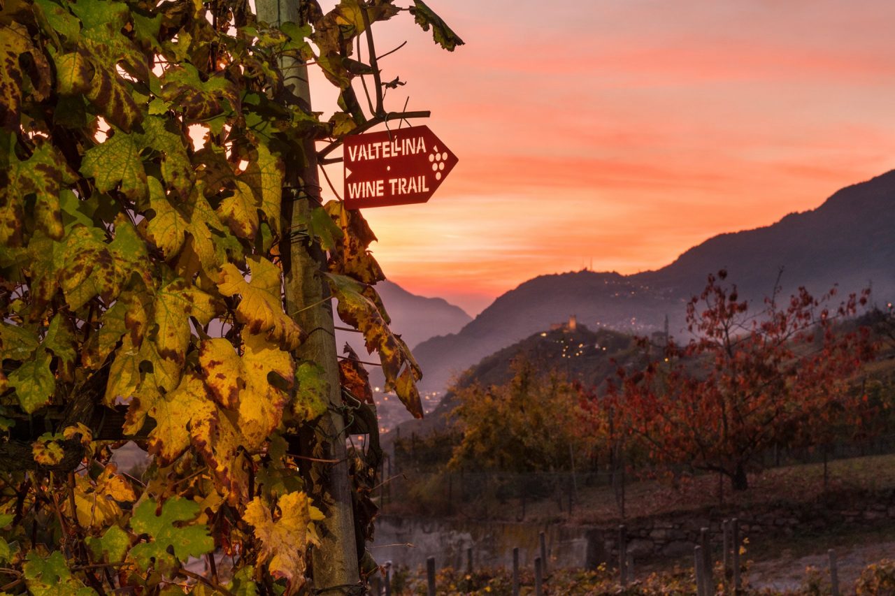Da Sindelfingen in Valtellina per il Wine Trail